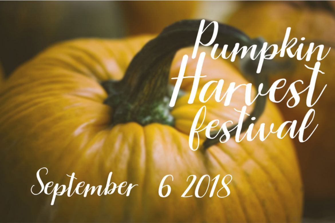 Astiphent script - view 4