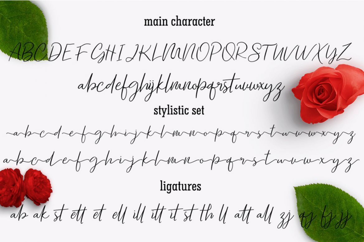 Tallented script - view 6