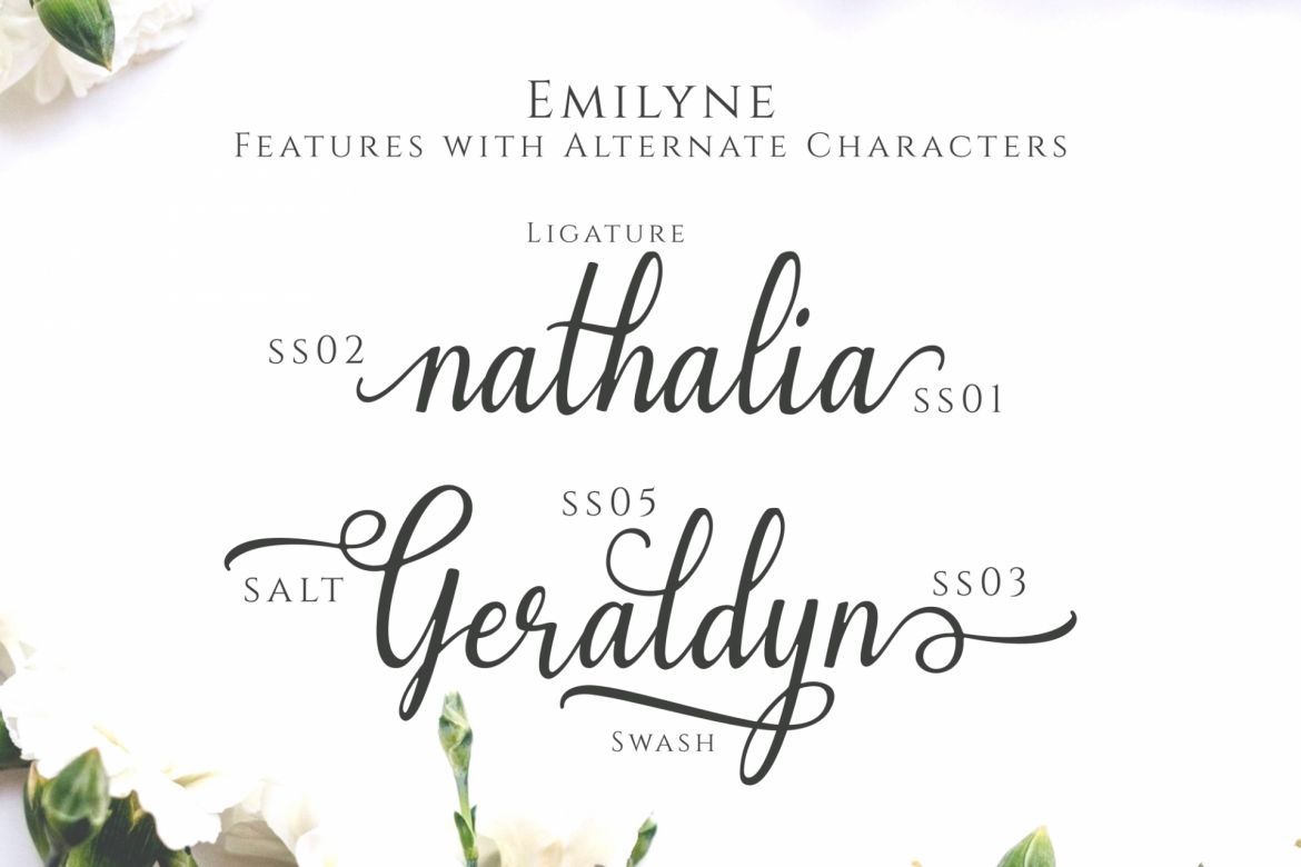 Emilyne Script - view 2