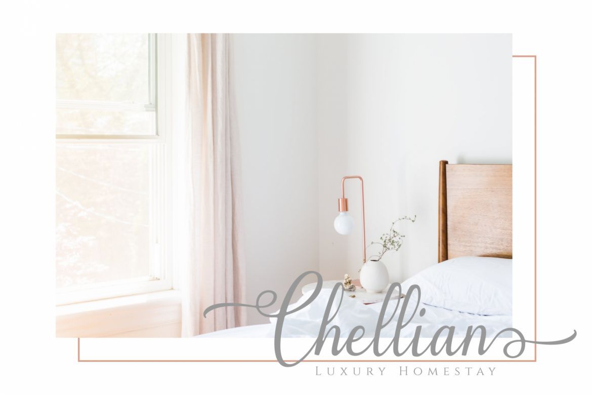 Emilyne Script - view 6