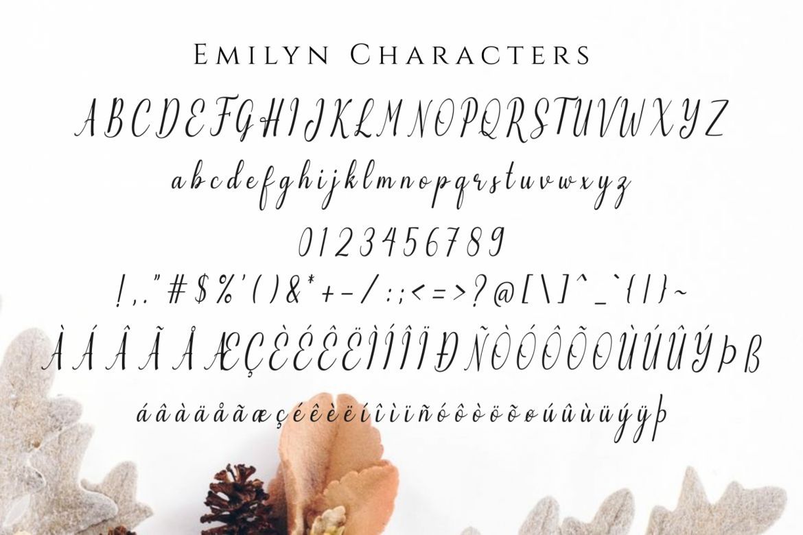 Emilyne Script - view 14