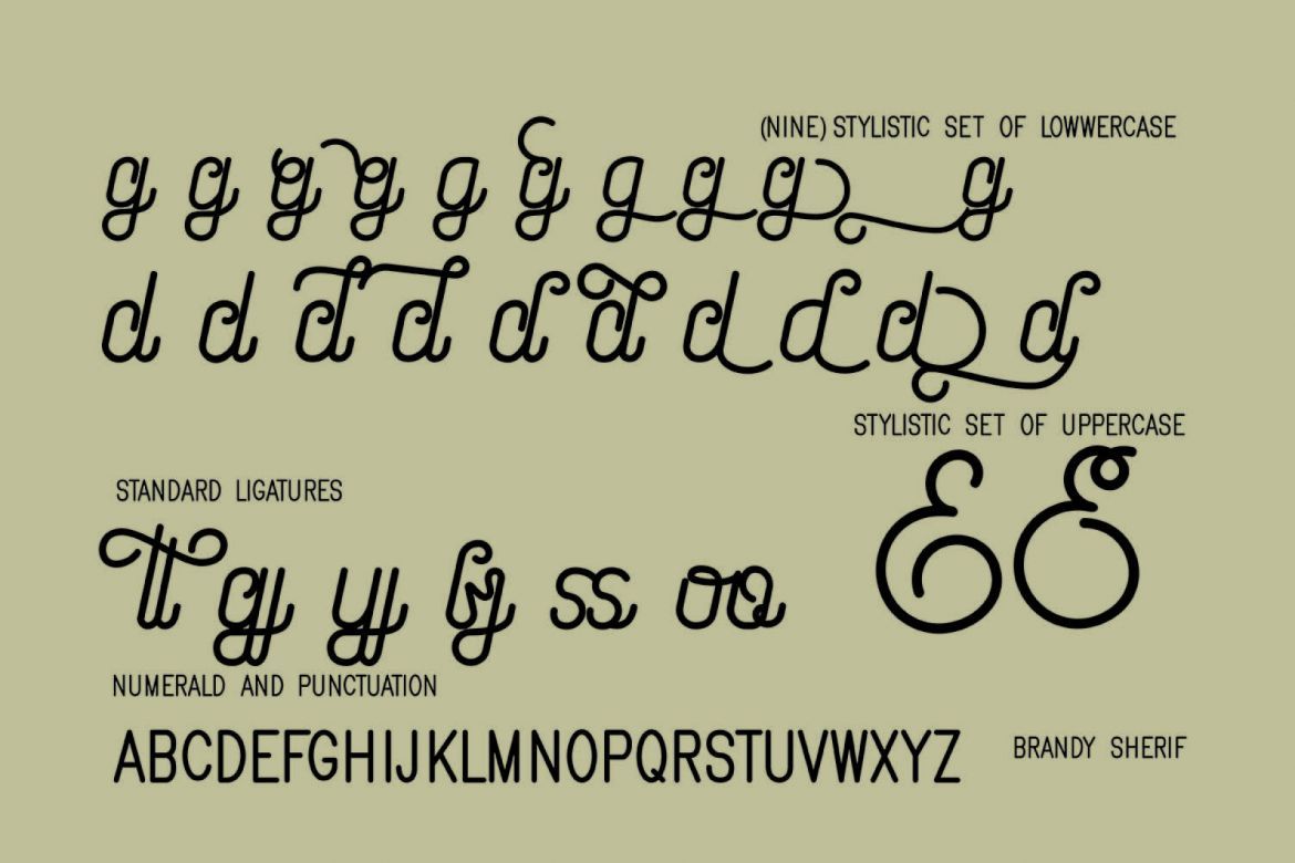 Brandy Script - view 4
