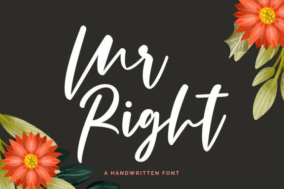 Mr Right - Free Font