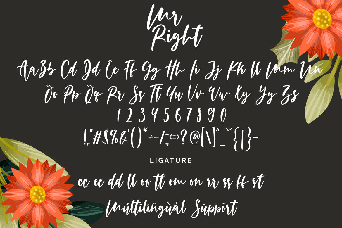 Mr Right - Free Font - view 7
