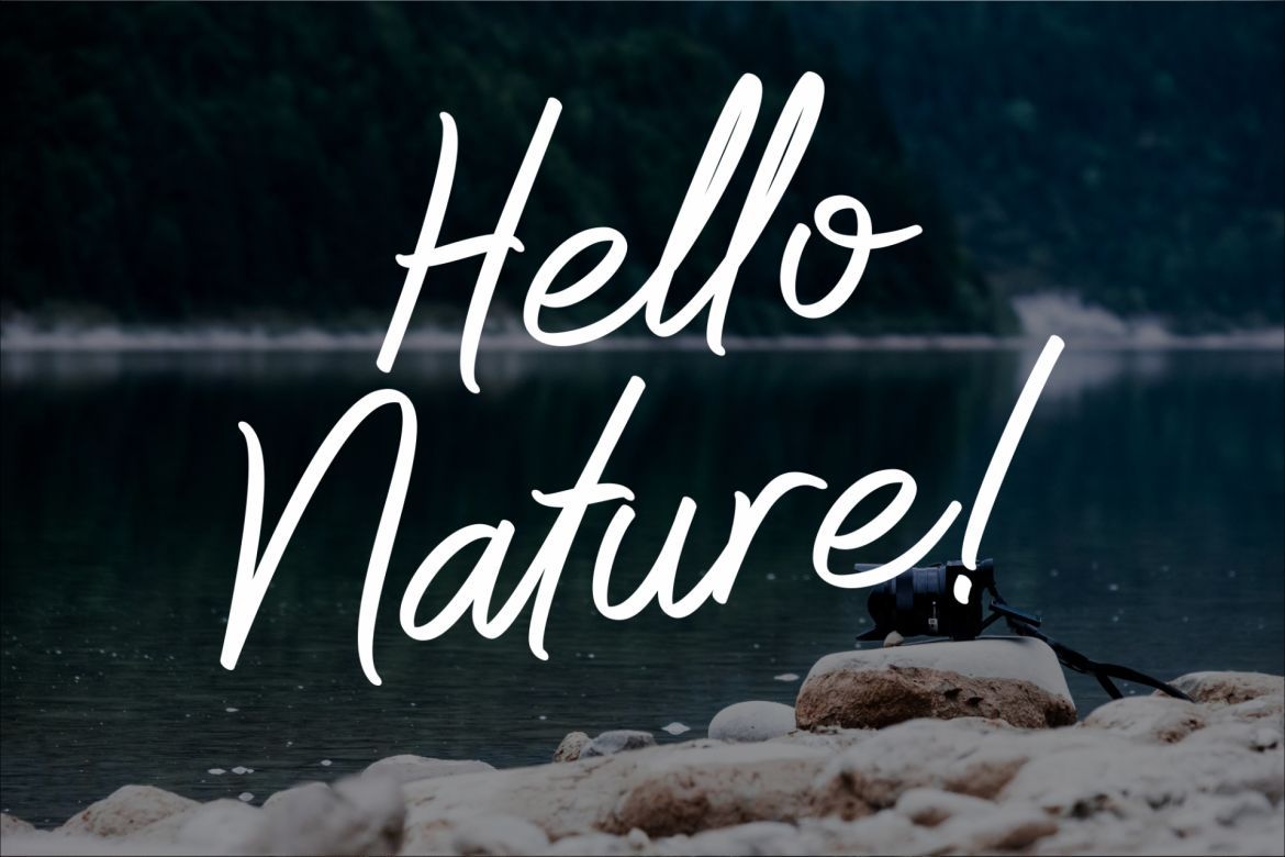 Whitelist Script - view 10