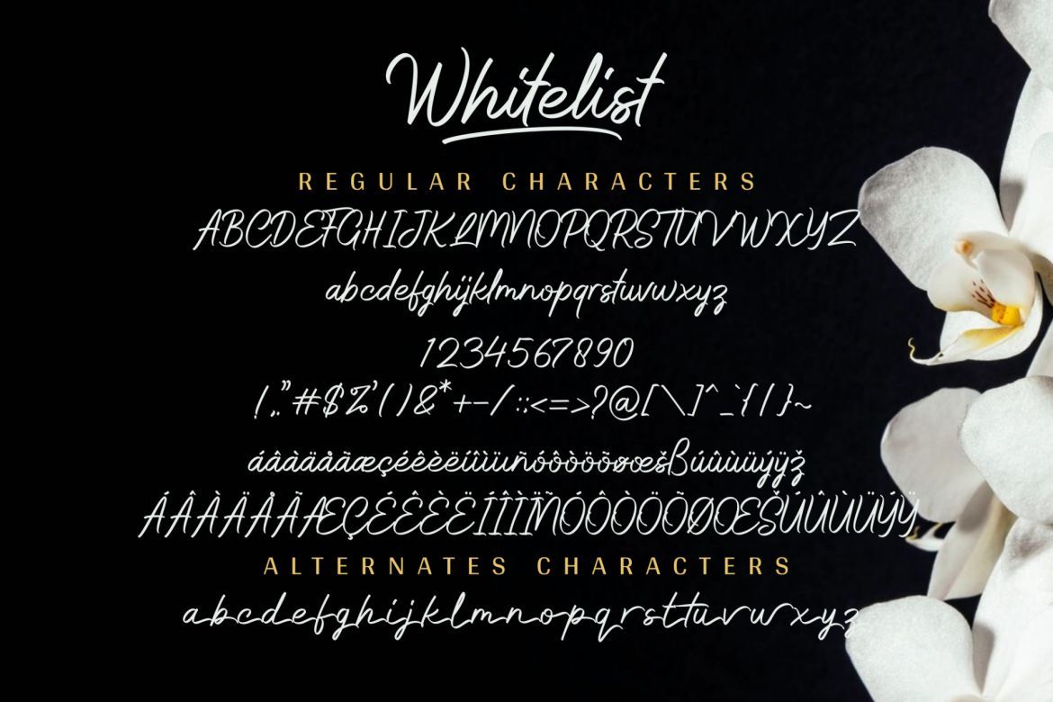 Whitelist Script - view 6
