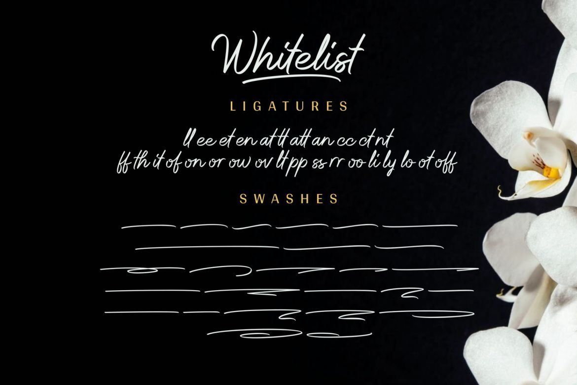 Whitelist Script - view 12