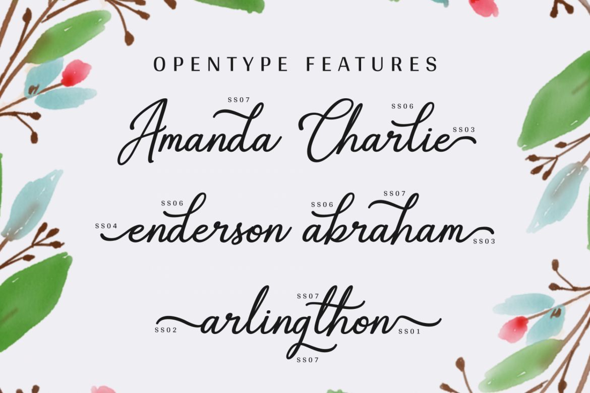 Gabryna Script - view 13