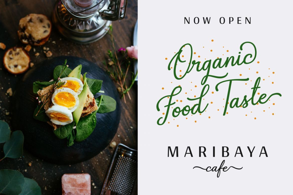 Gabryna Script - view 7