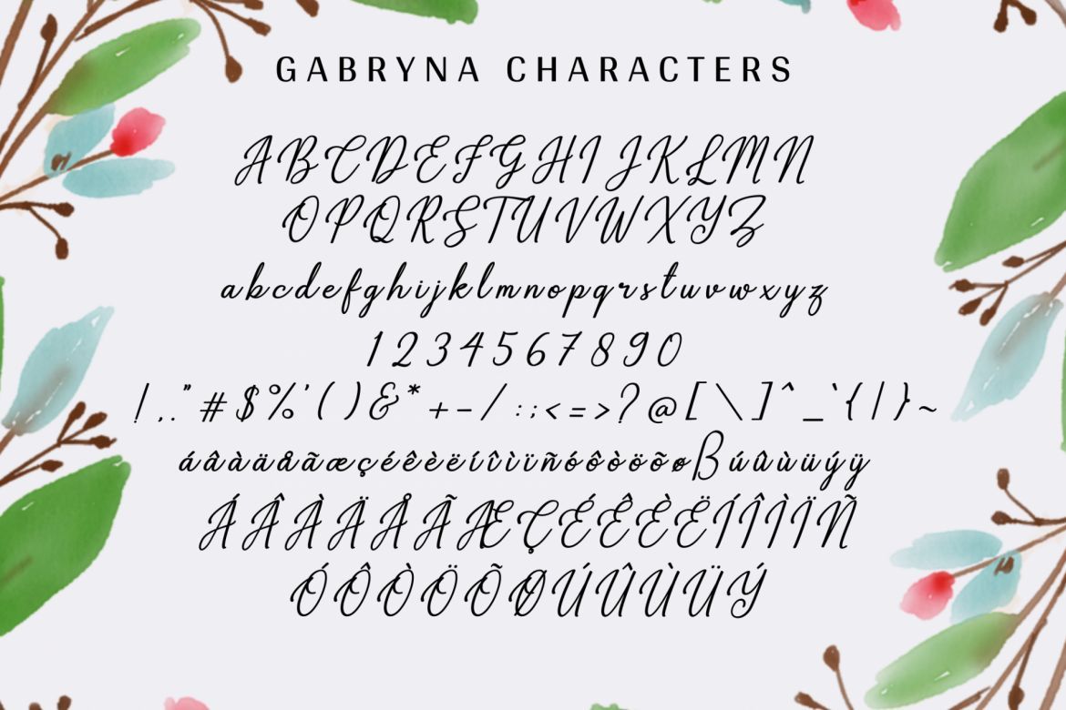 Gabryna Script - view 10