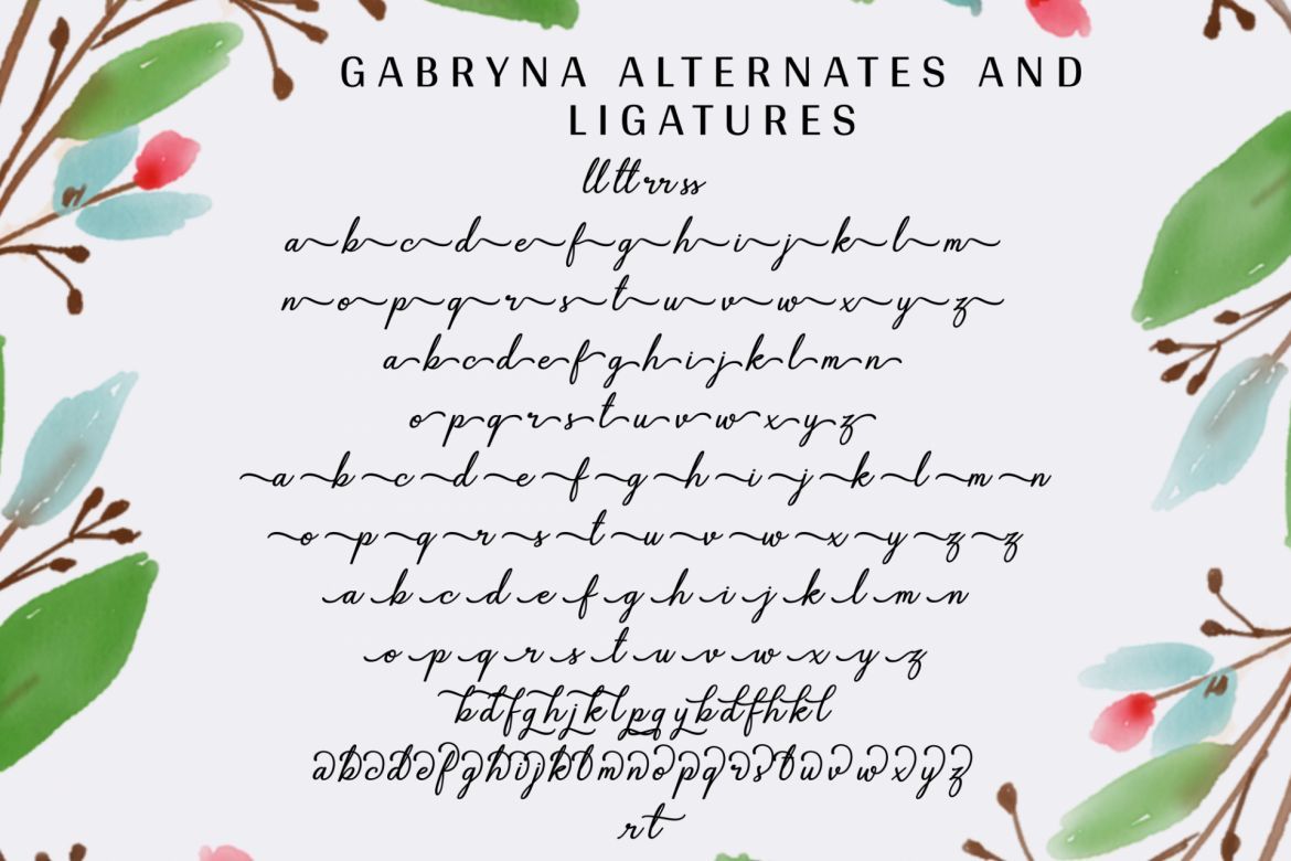 Gabryna Script - view 11