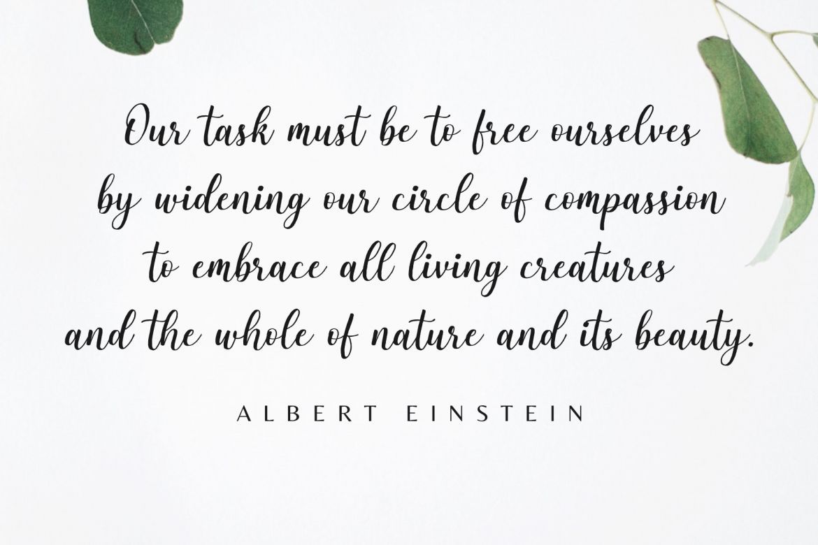 Sweetrough Script - view 4