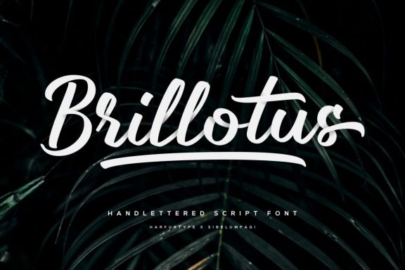 Brillotus Script