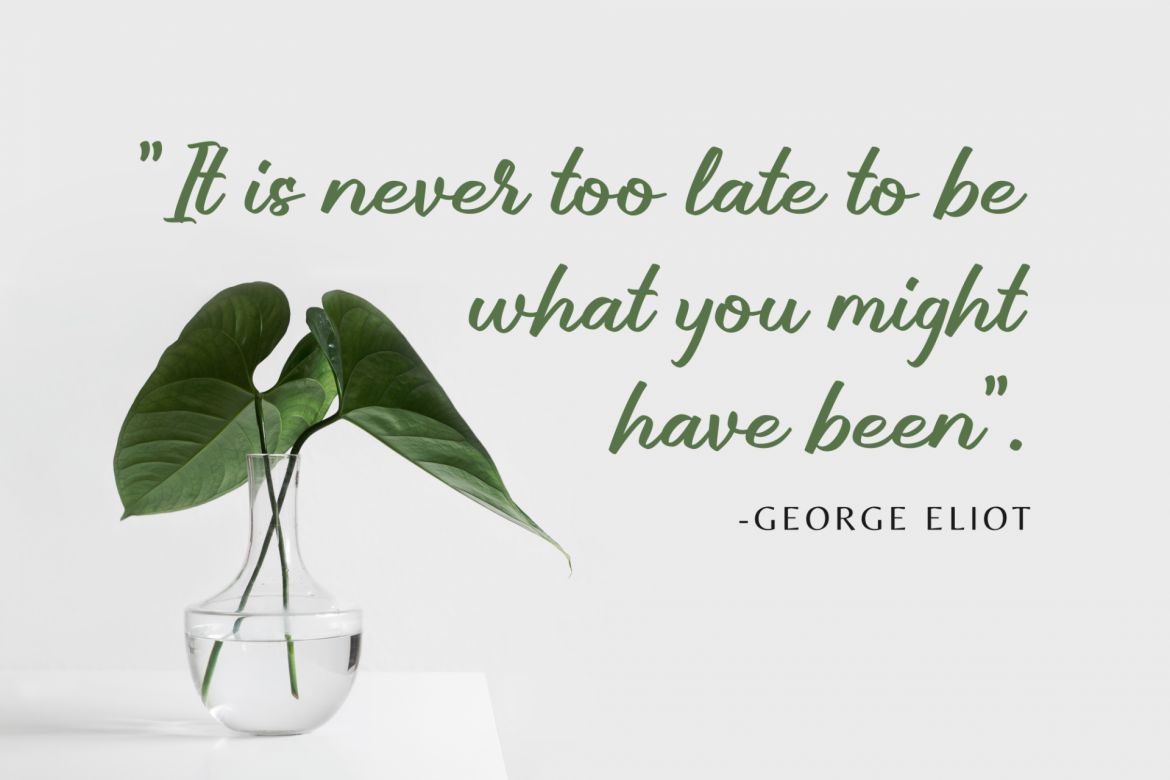 Brillotus Script - view 3