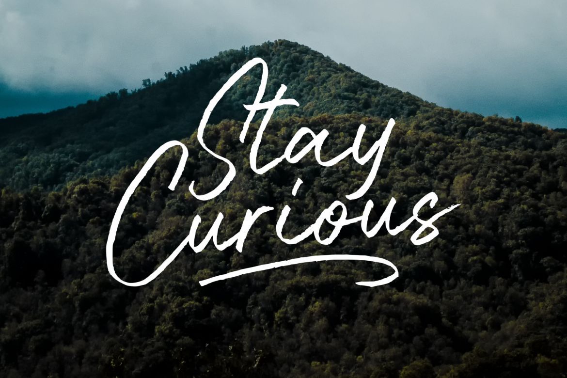 Bluehill Script - view 10