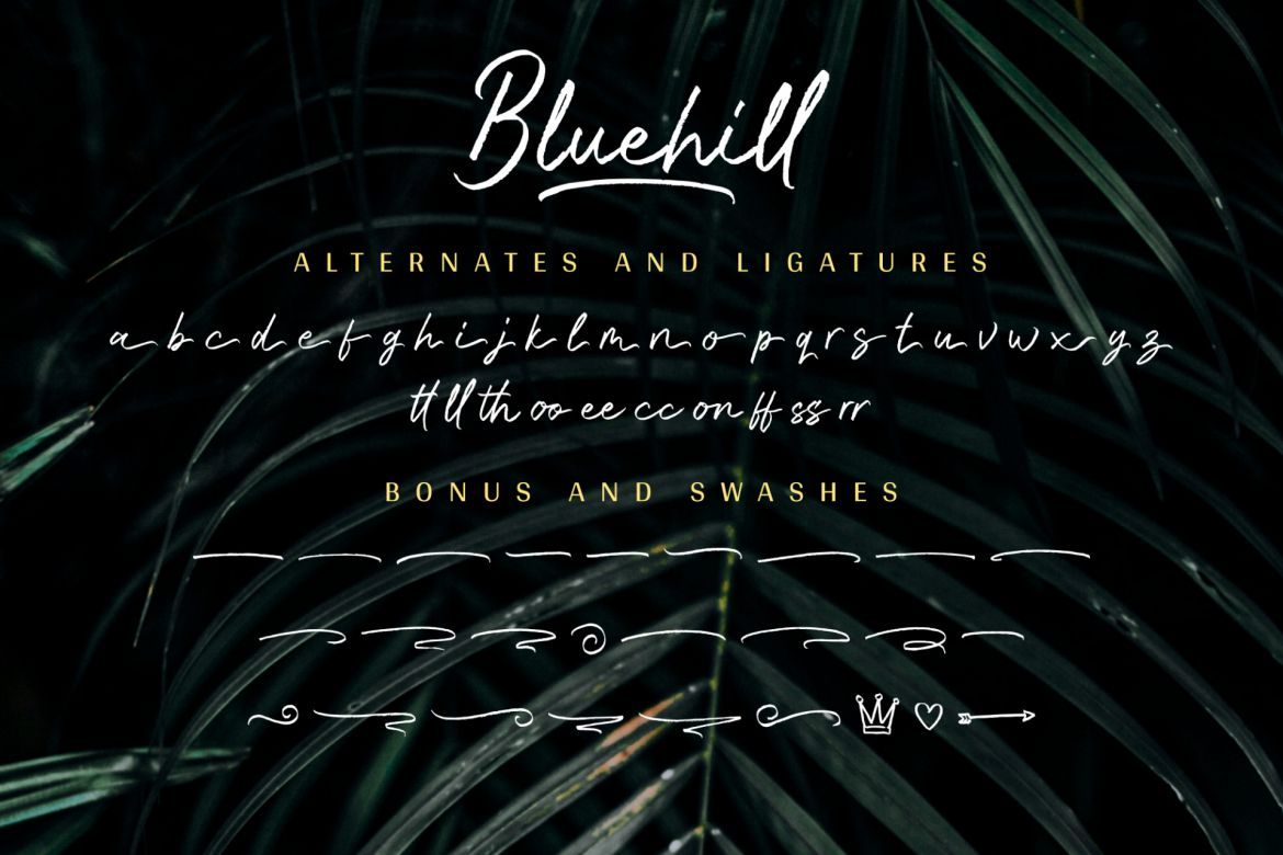 Bluehill Script - view 12