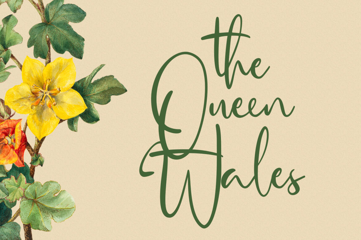 Hellostars Beauty - Free Script Font alternate