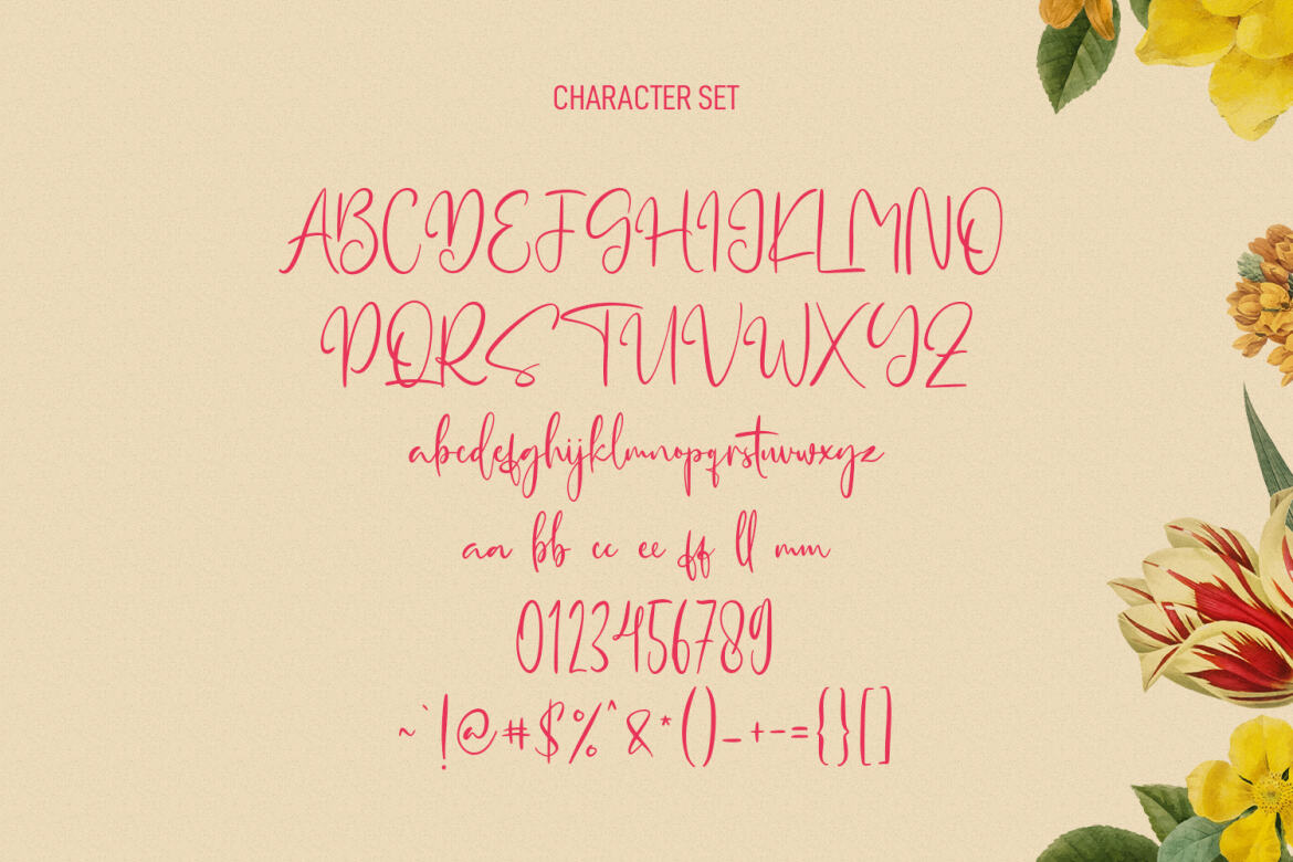 Hellostars Beauty - Free Script Font - view 8