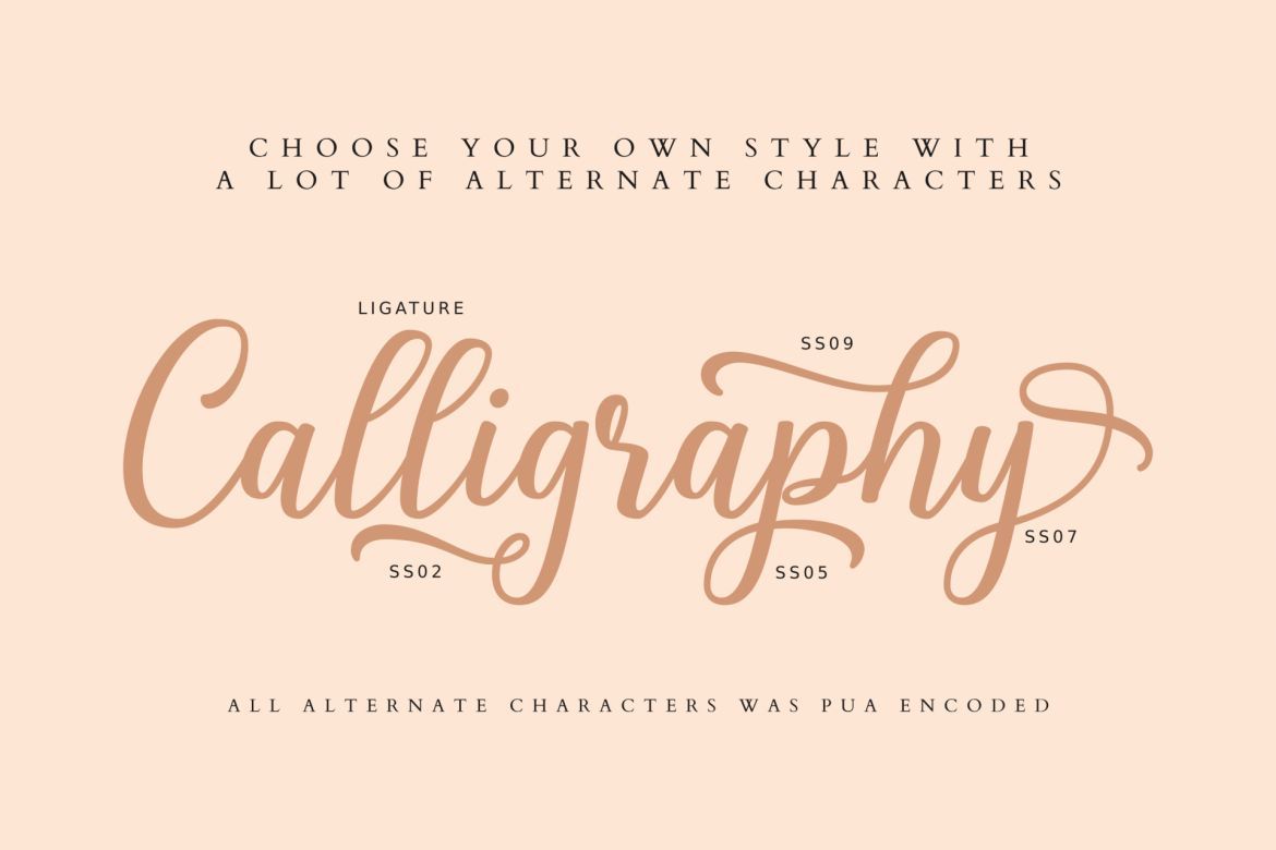 Shalinta Script - view 4