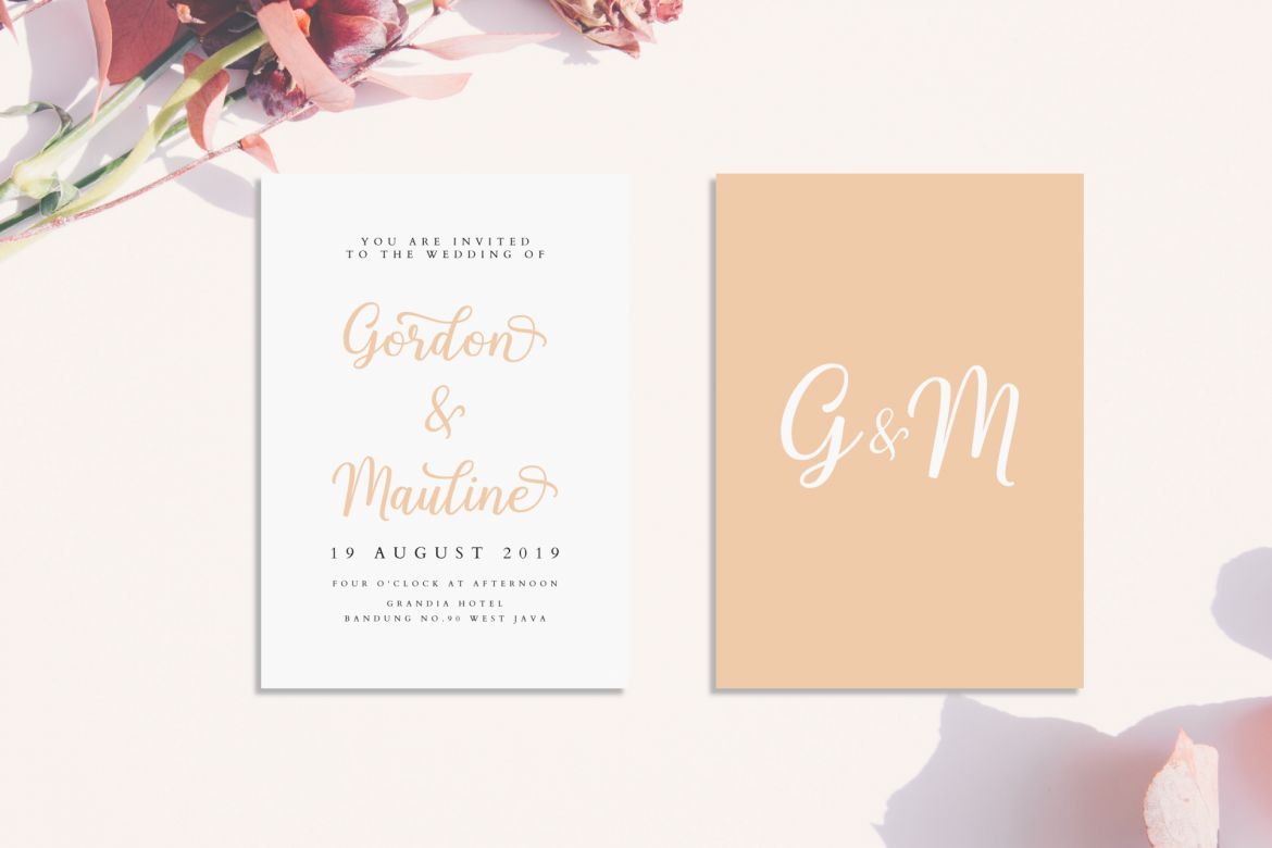 Shalinta Script - view 5