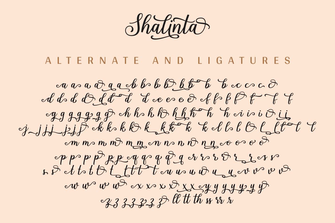 Shalinta Script - view 13