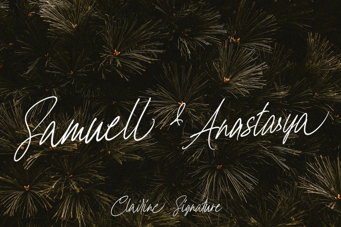 Chairine a classic signature - view 4