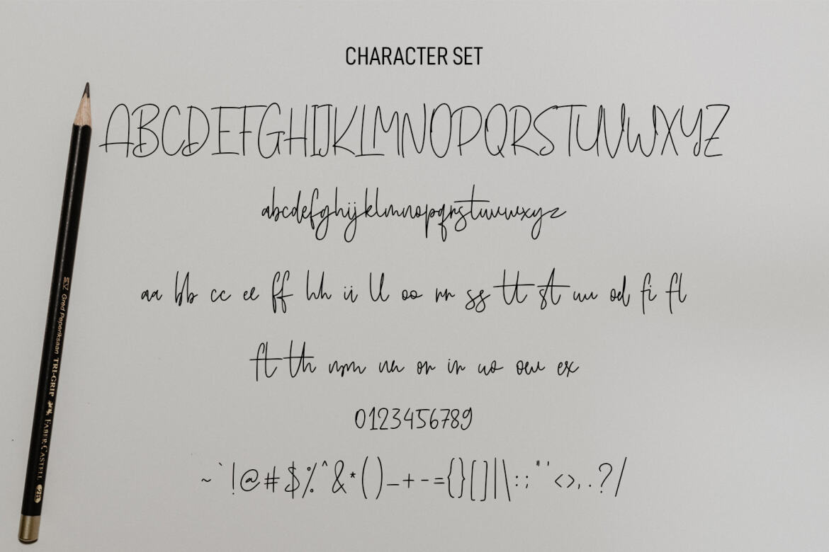 Basicschrift Monoline - Free Script Font - view 8