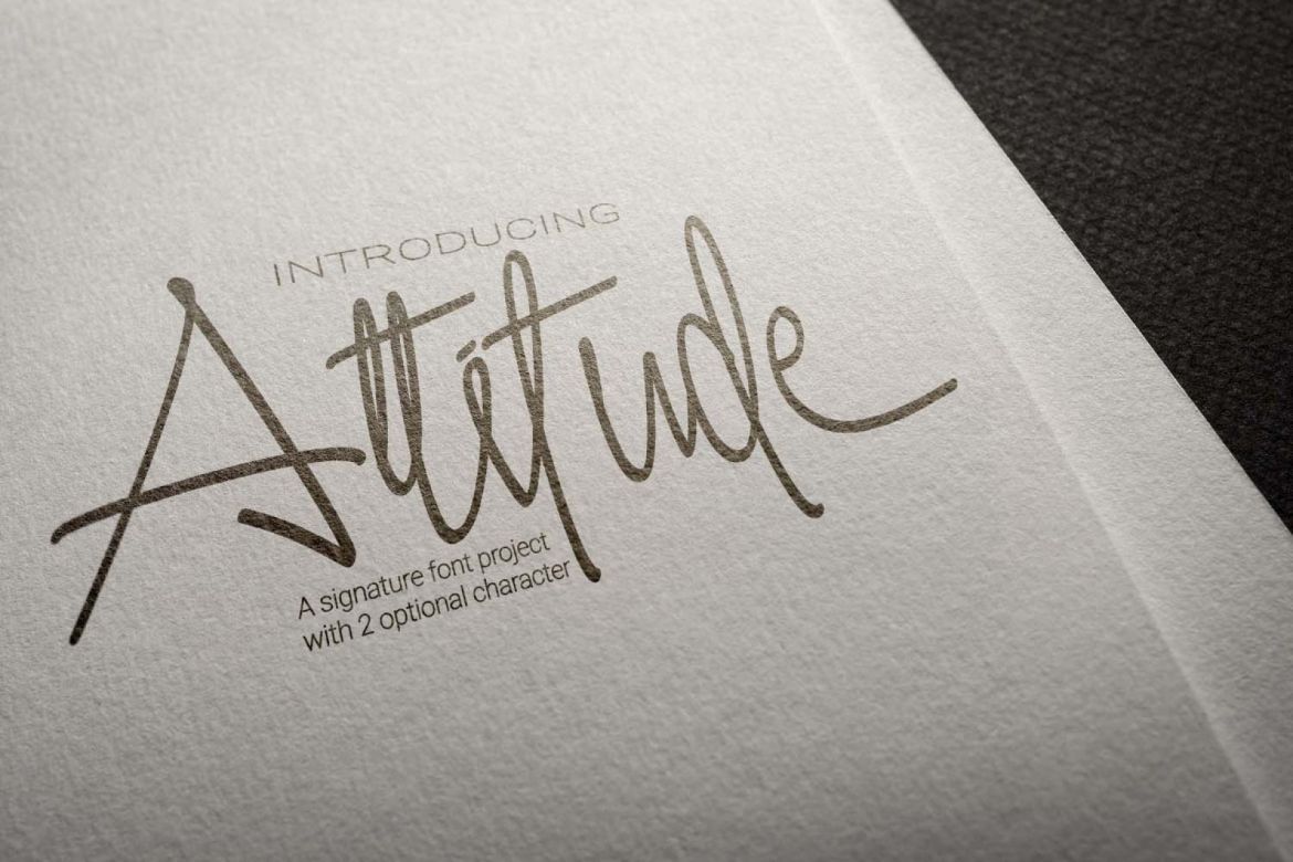 Attitude Script - view 9