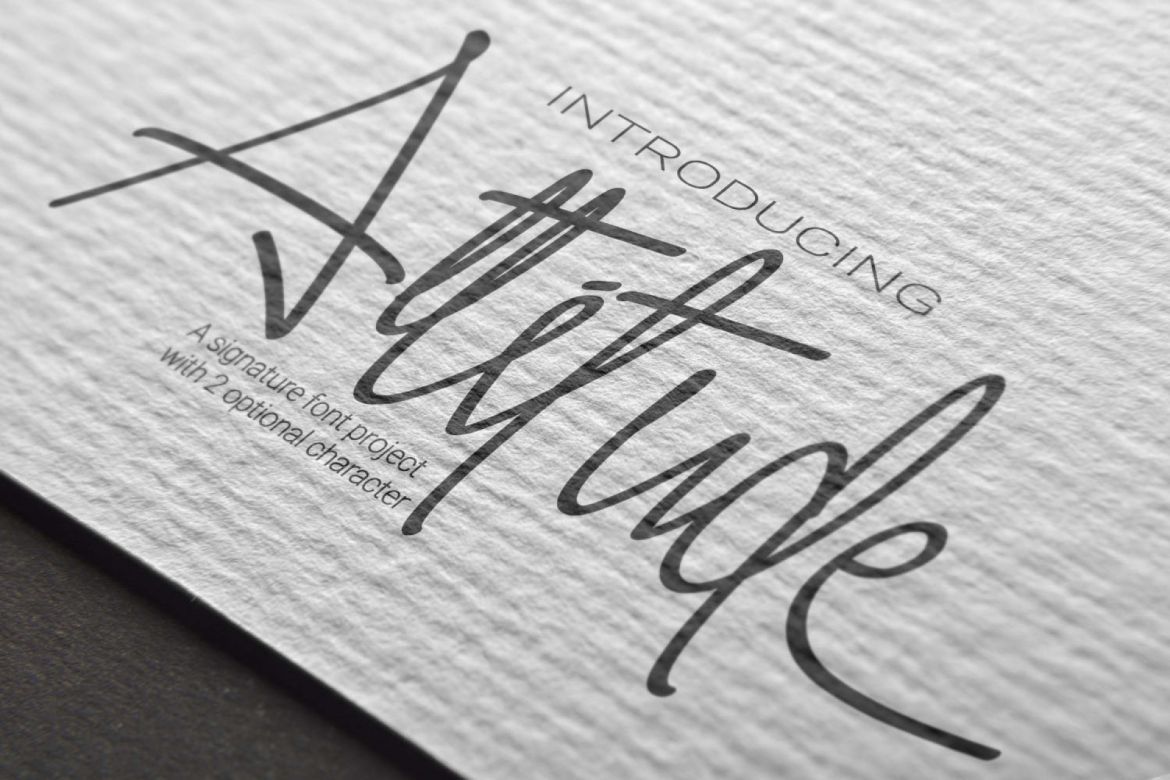 Attitude Script - view 10