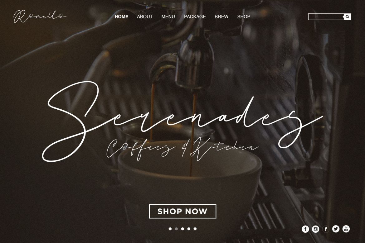 Romello Brush Signature Font - view 4