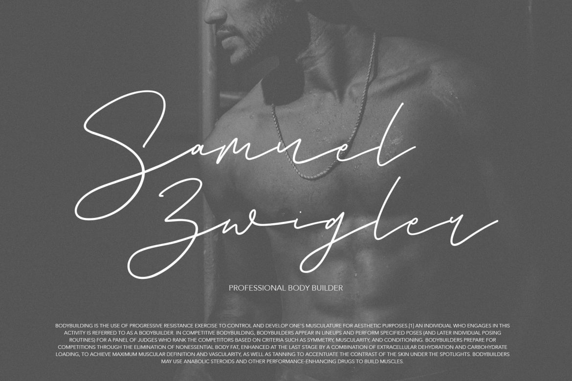 Romello Brush Signature Font - view 5