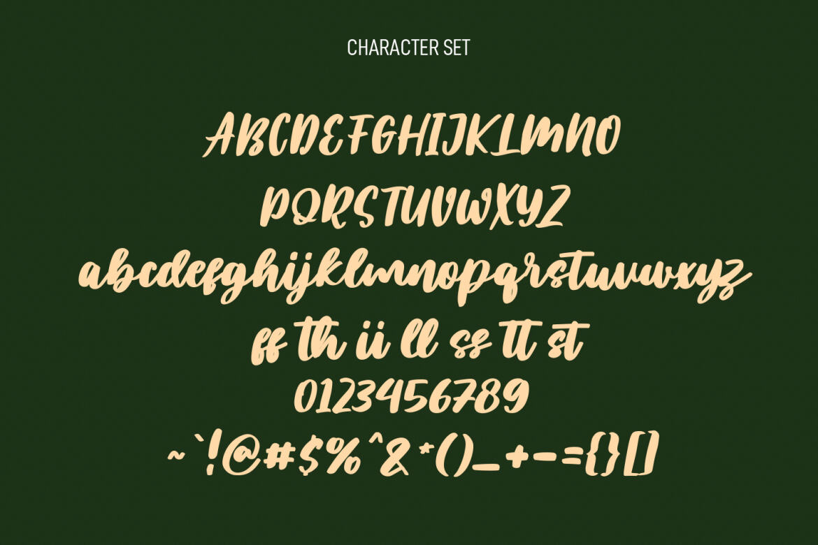 Plotwist Handwritten - Free Script Font - view 8