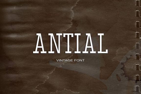 Antial Serif Font - view 1