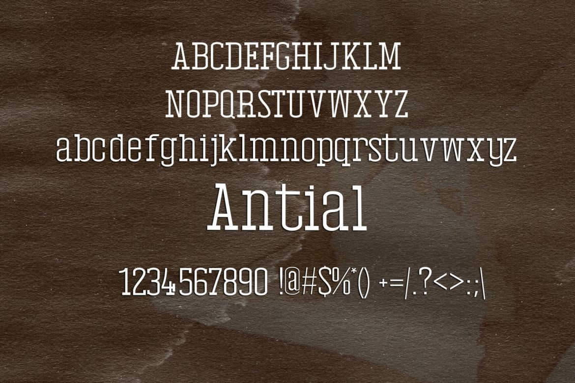 Antial Serif Font - view 2
