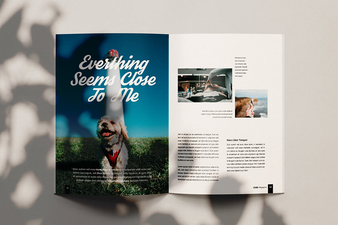 Colde - FREE Streetwear Fashion Magazine Template - view 8