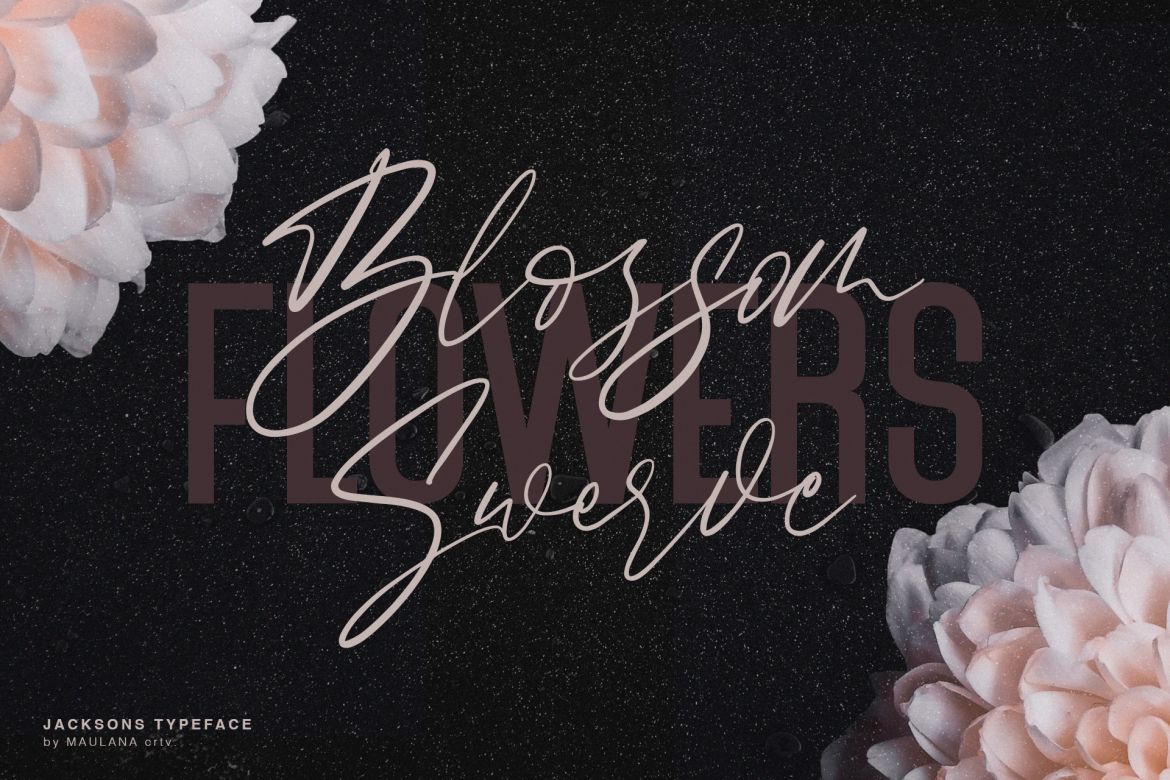 Jacksons Font Duo - view 5