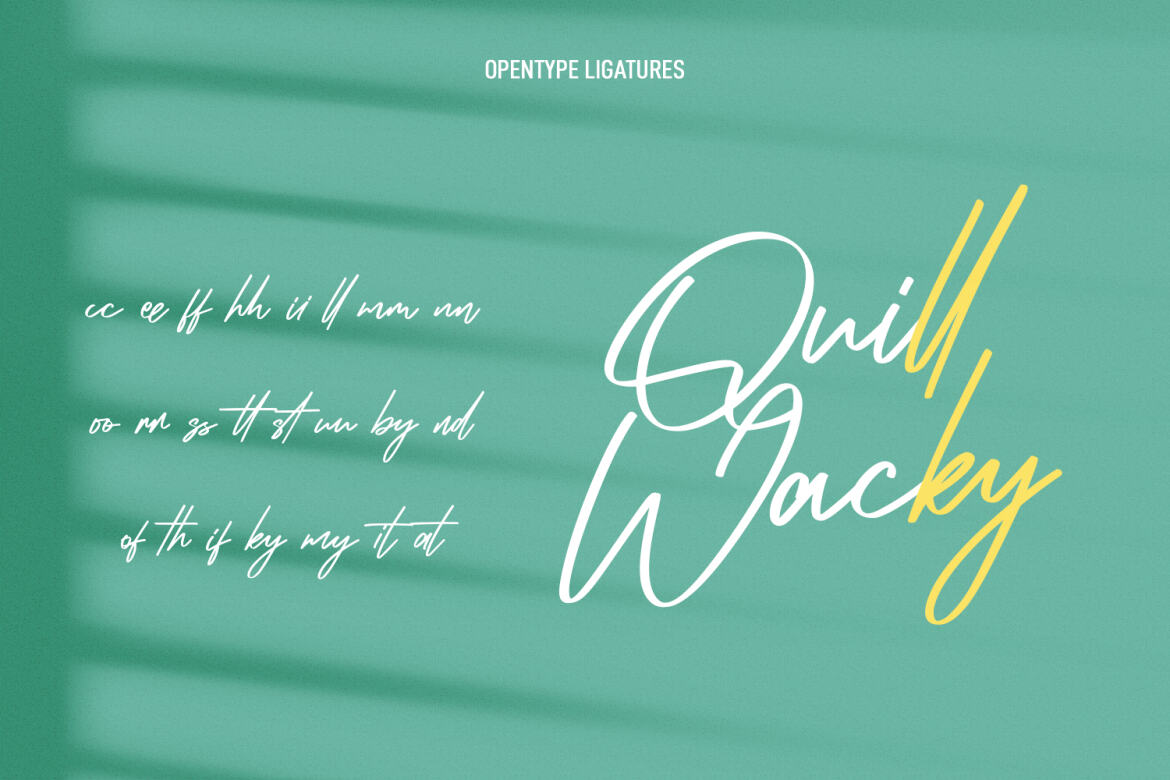 Infamous Rush FREE Signature Script Font - view 9