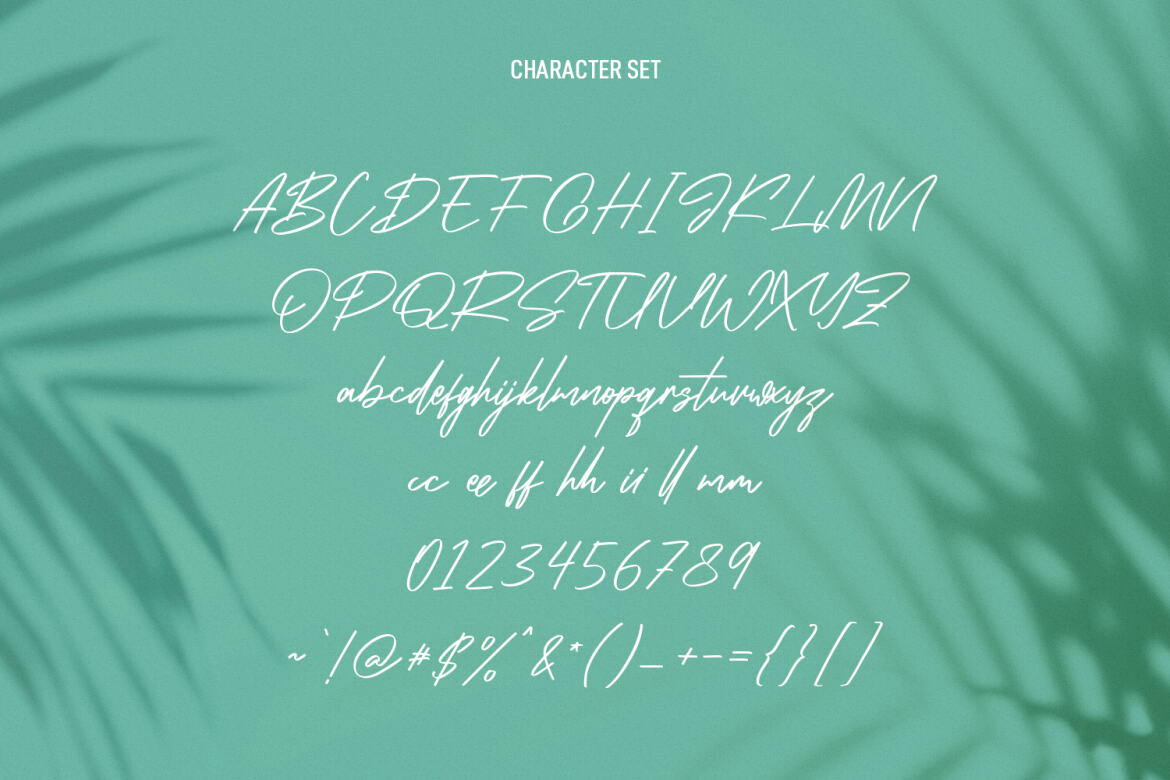 Infamous Rush FREE Signature Script Font - view 8