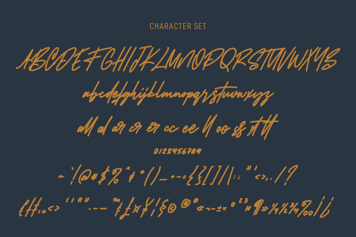 Tarboots Signature - Free Font - view 9