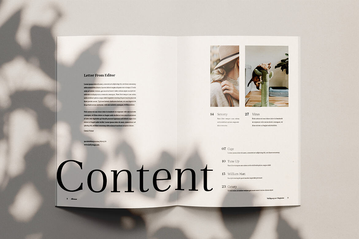 Albouze - Minimalist FREE Magazine Template alternate