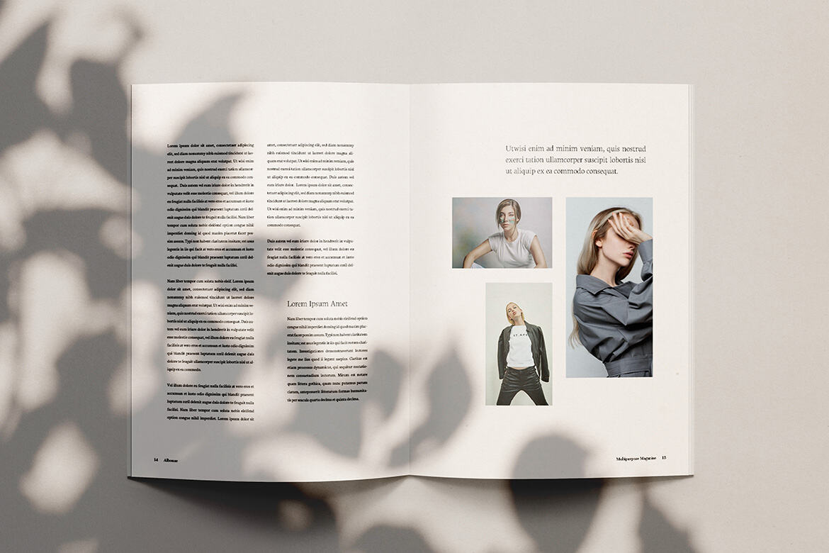 Albouze - Minimalist FREE Magazine Template - view 8