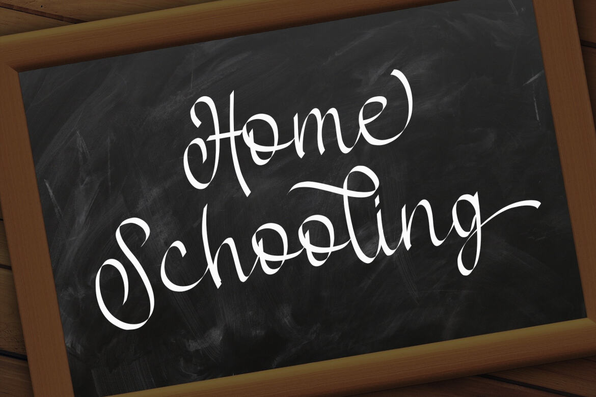 Anybella - Free Script - view 8