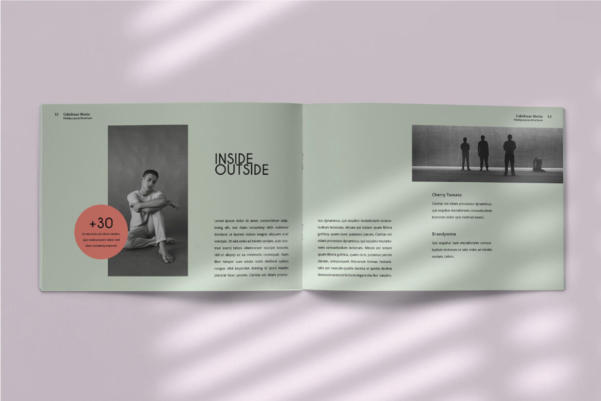 Calatheas Works - FREE Landscape Brochure Template - view 7