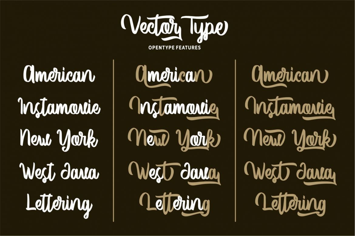 Vector Type Script - view 2