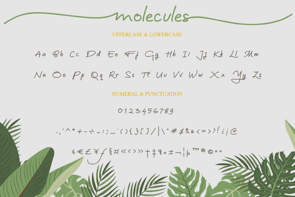 Molecules - Free Script Font - view 9