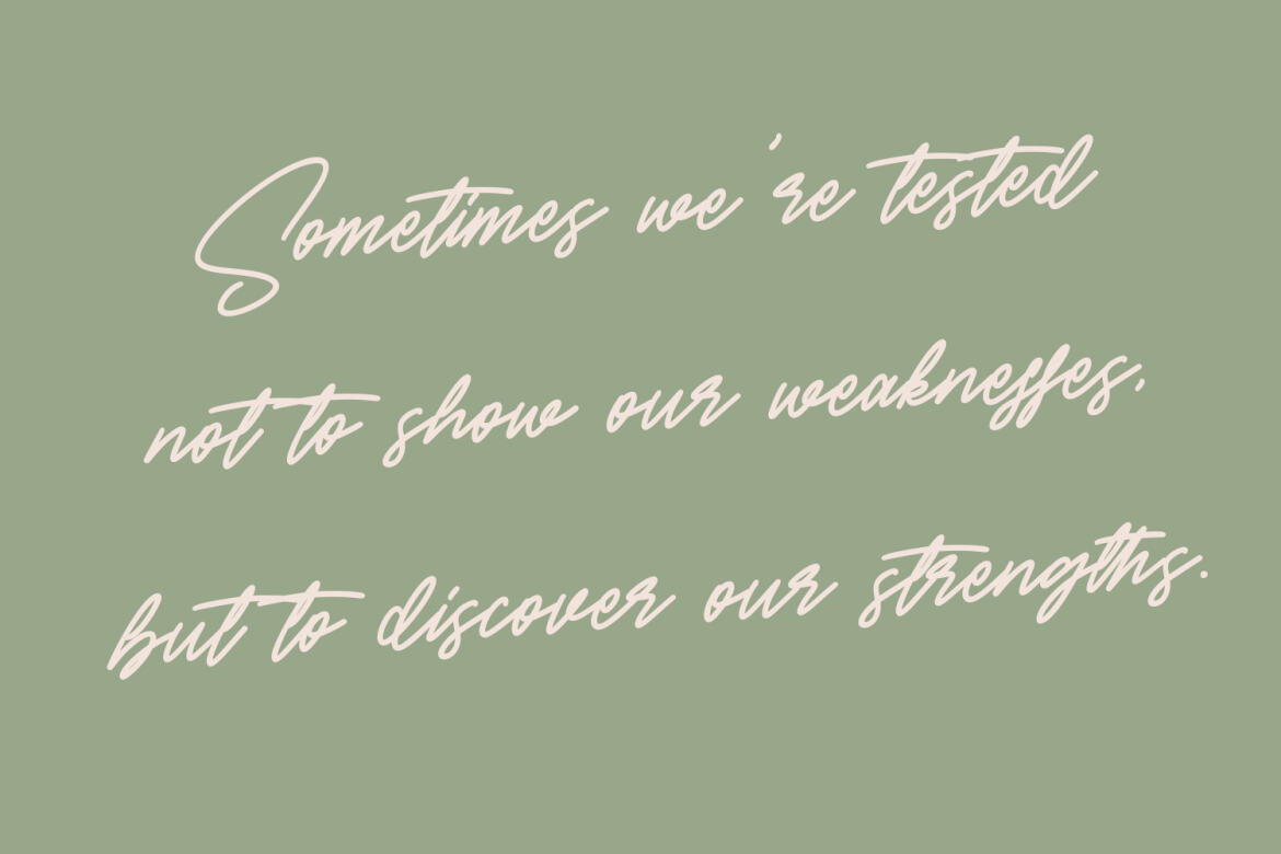 Accolyter Signature - Free Font - view 3