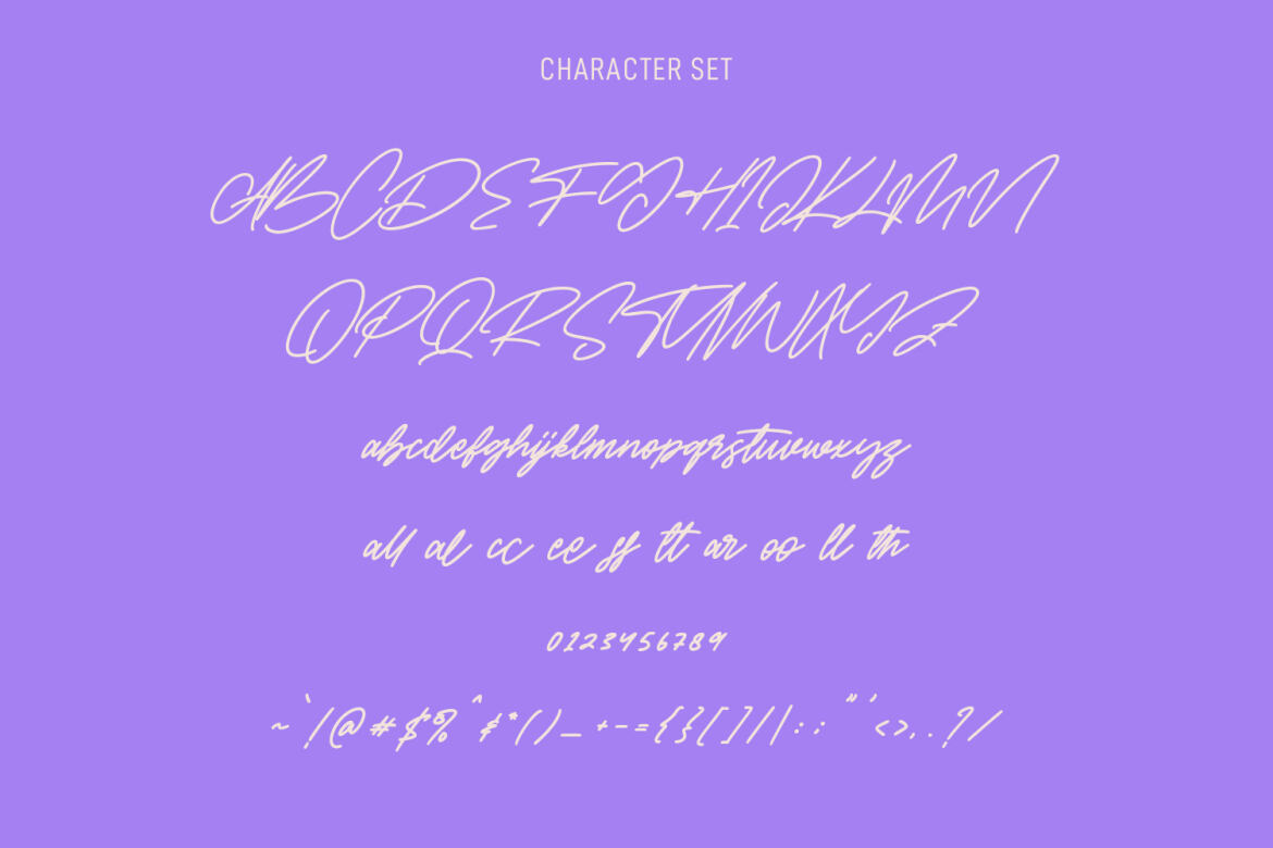 Accolyter Signature - Free Font - view 9