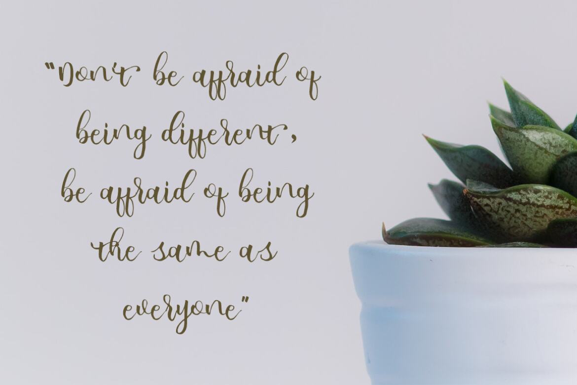 allicia script - Free Font - view 4