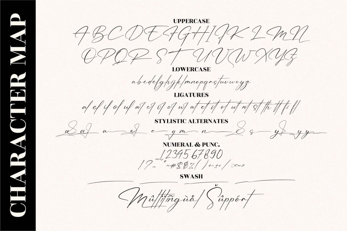 Patricia Signature - FREE Script Font - view 13