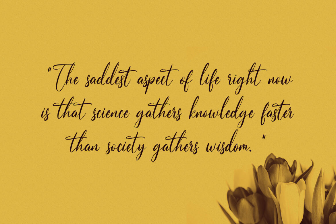 Tiffanka - Free Script Font - view 2